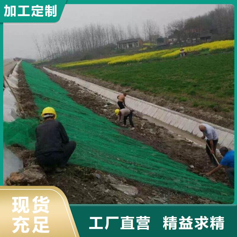 三维植被网三维土工网市场行情