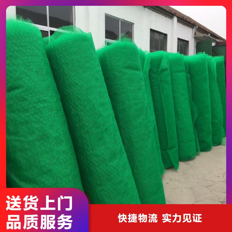 三维植被网 【植草格】高品质现货销售