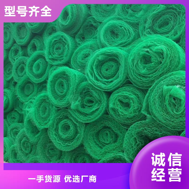 三维植被网 【植草格】高品质现货销售