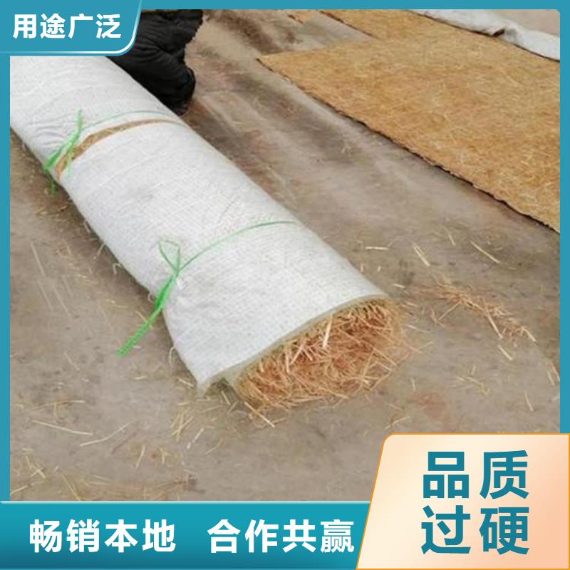 【椰丝毯_防渗膜高质量高信誉】