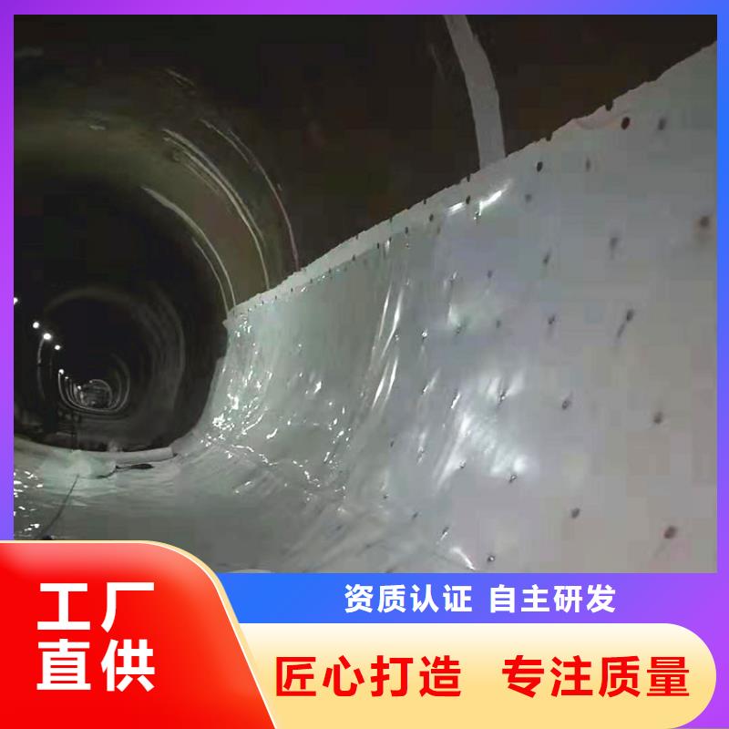 防水板双向塑料土工格栅高质量高信誉