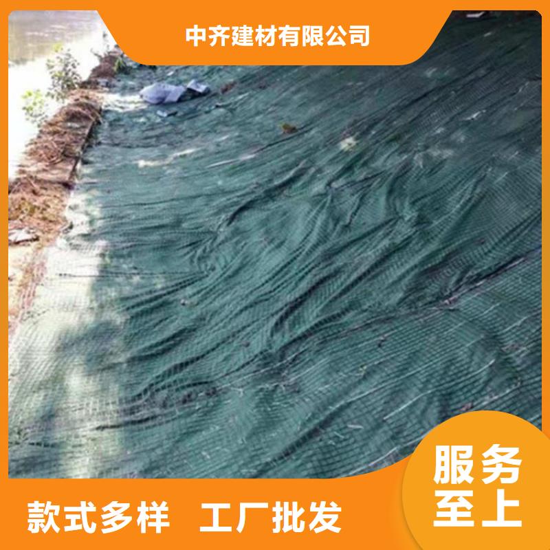 椰丝毯【双向塑料土工格栅】物流配货上门