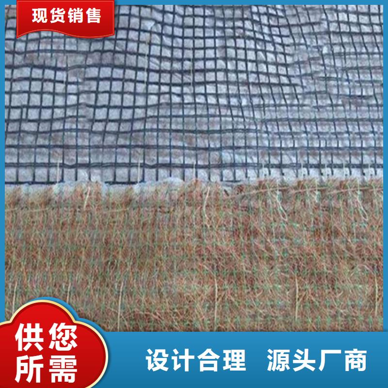植物纤维毯水保抗冲生态毯