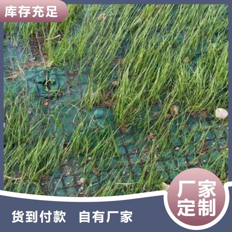 水保抗冲生物毯植物纤维毯