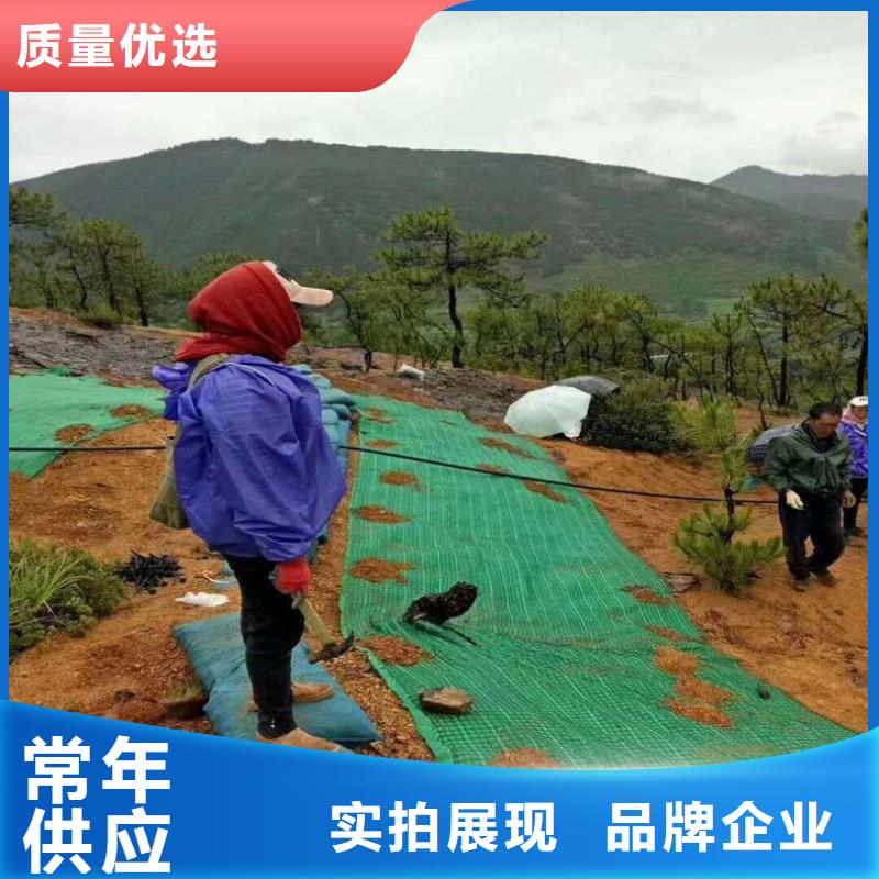 水保抗冲生物毯椰丝护坡毯