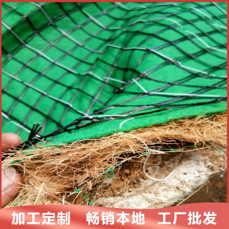 椰丝植生毯批发经销