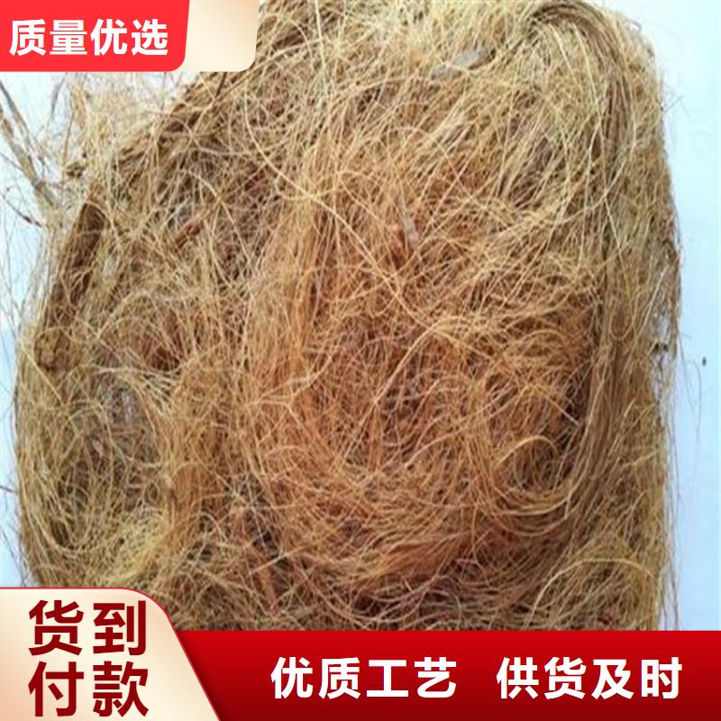 琼中县椰丝纤维毯护坡植被植草毯