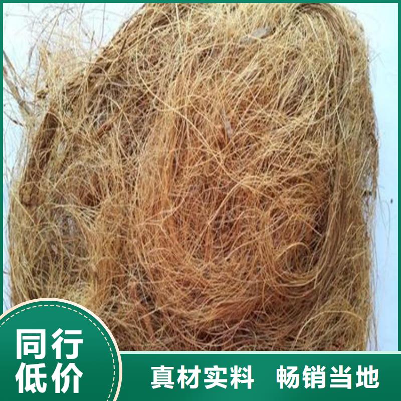 护坡植被植草毯加筋复合抗冲生态毯