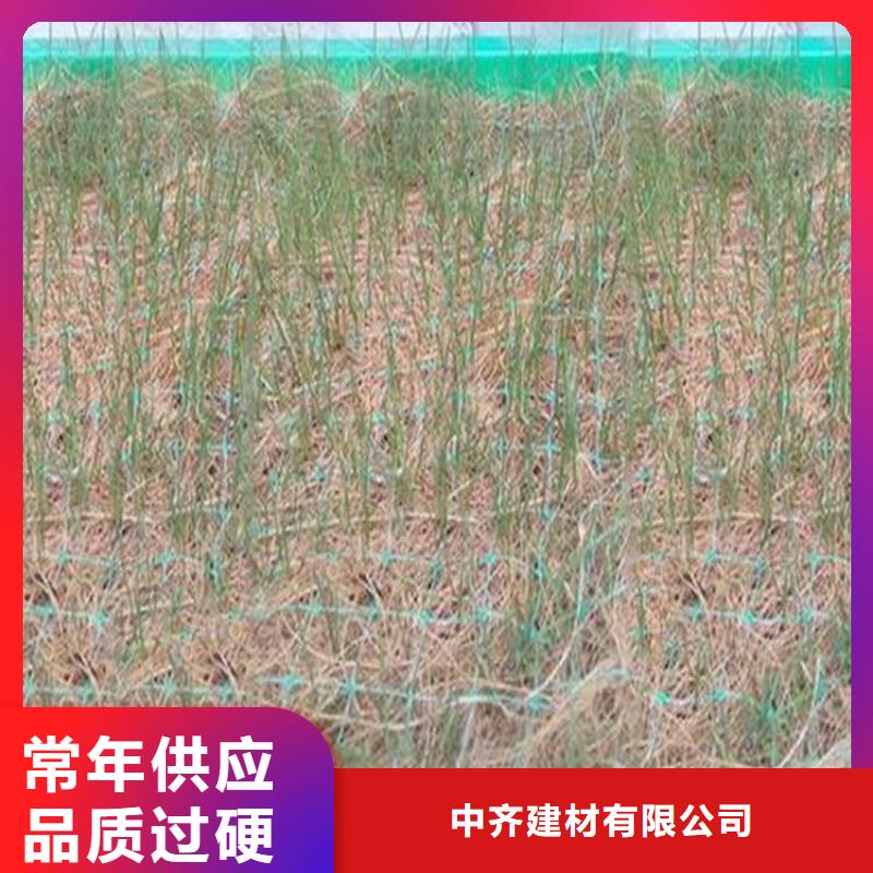 白沙县加筋复合生态草毯