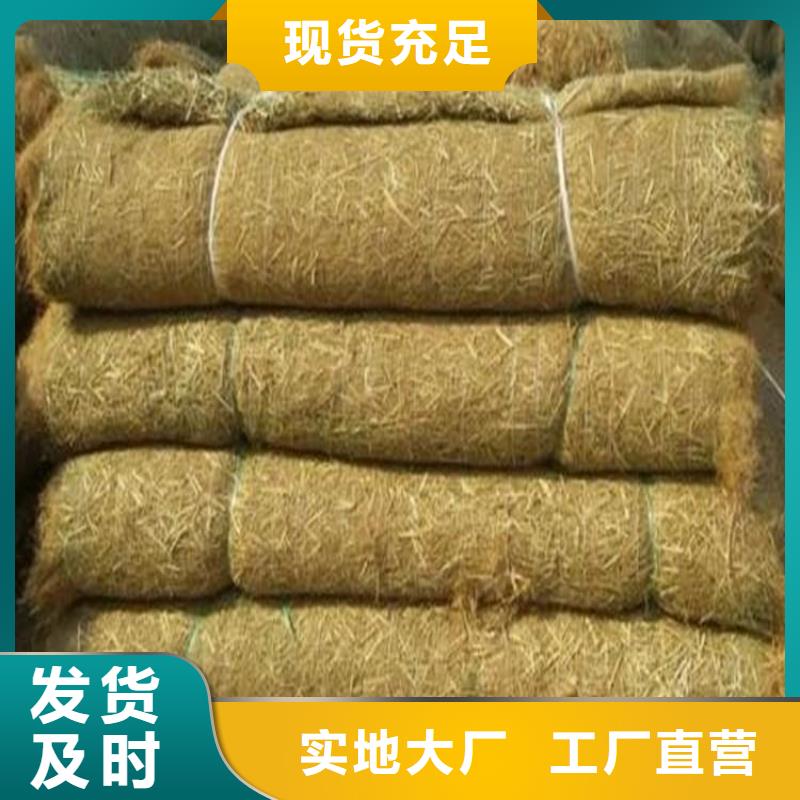 生态植物防护毯加筋抗冲生态毯