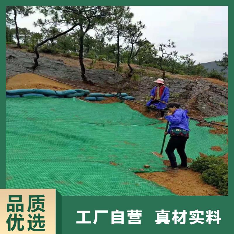 白沙县加筋复合生态草毯