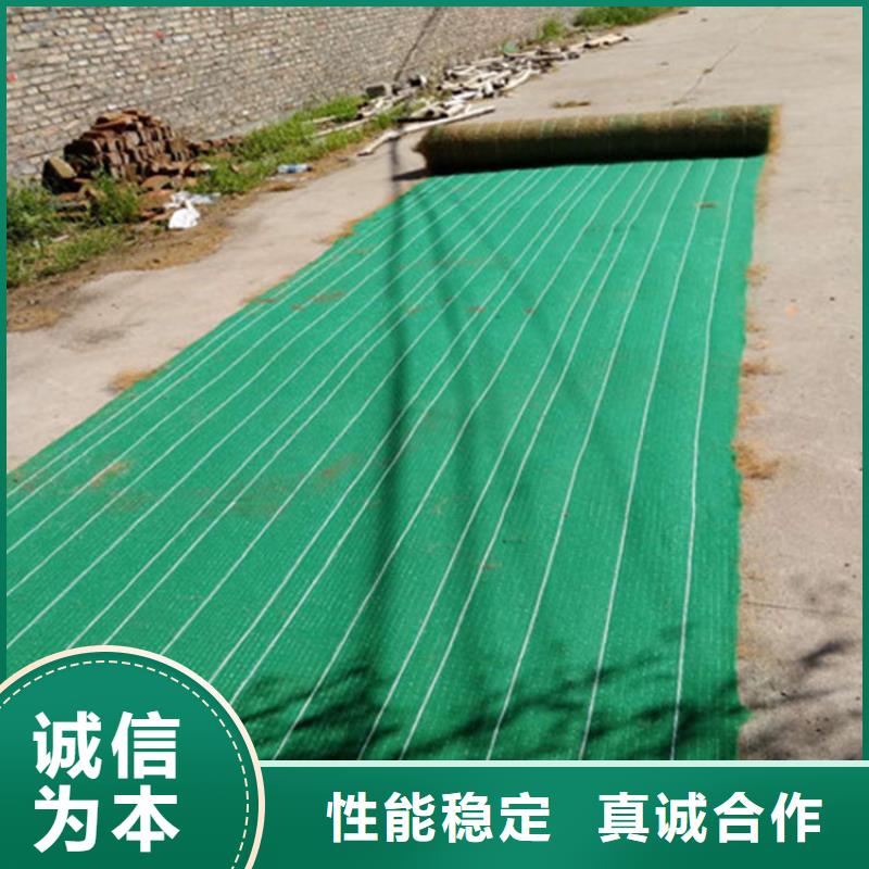 保亭县椰丝植生毯使用规范