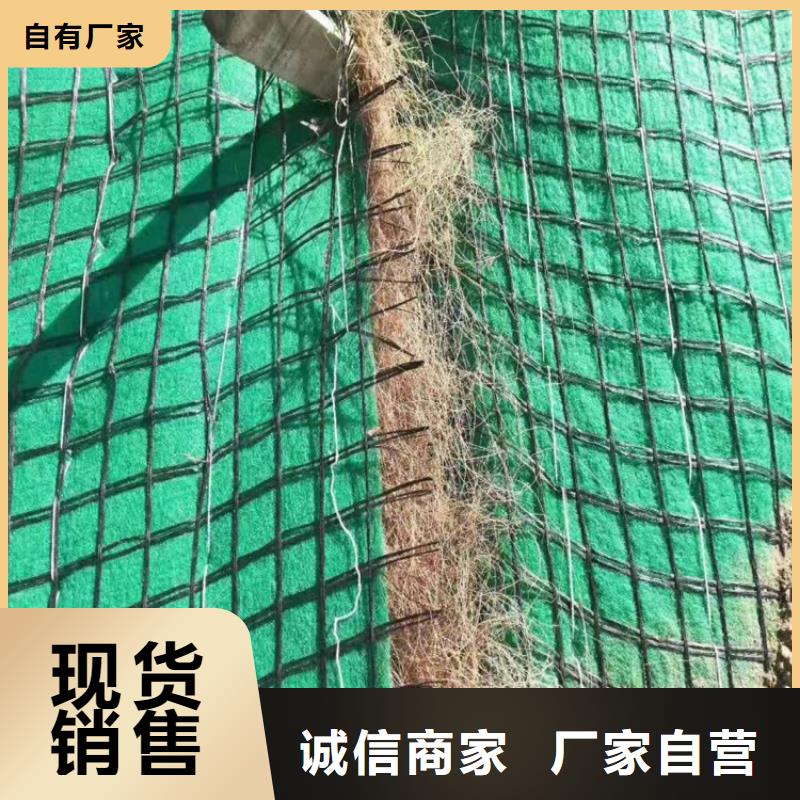 水保抗冲生物毯植物纤维毯