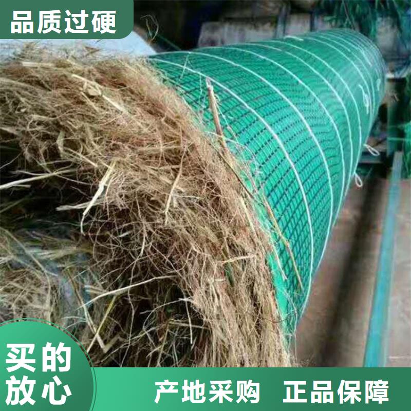 抗冲刷生物毯