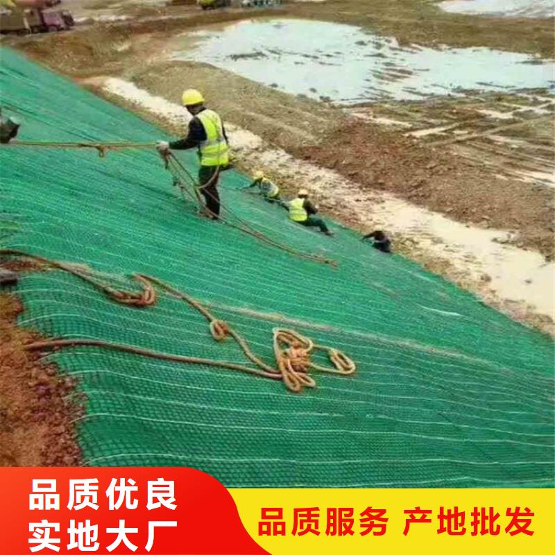 公路边坡椰丝毯验收