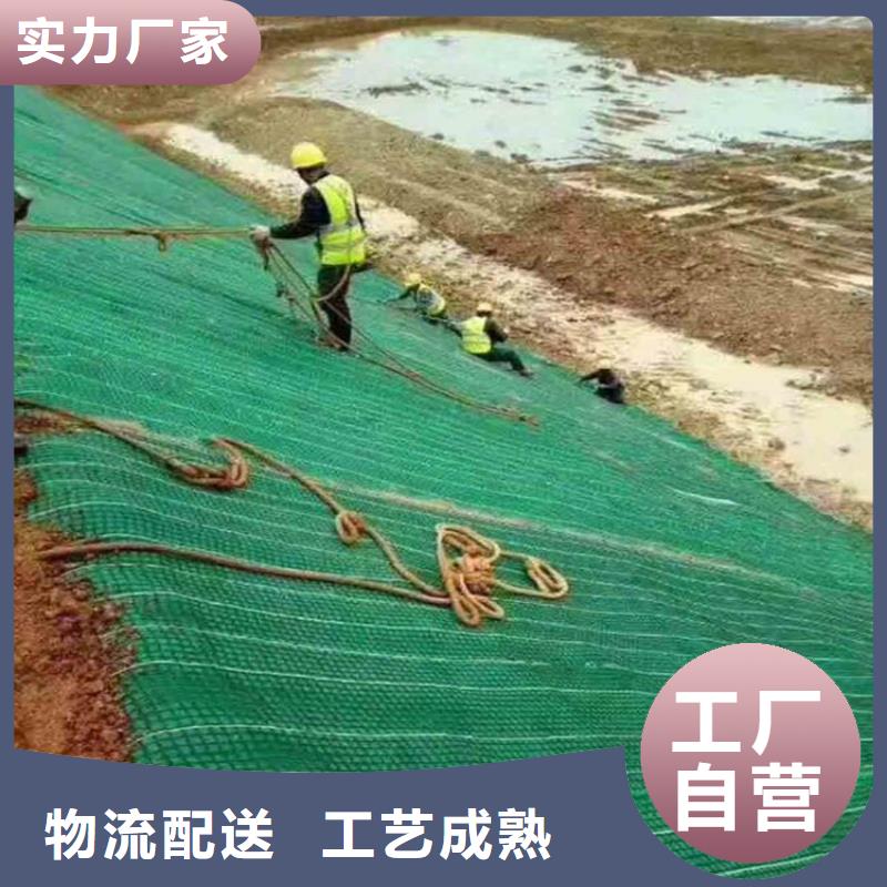 护坡生态草毯水保抗冲生物毯