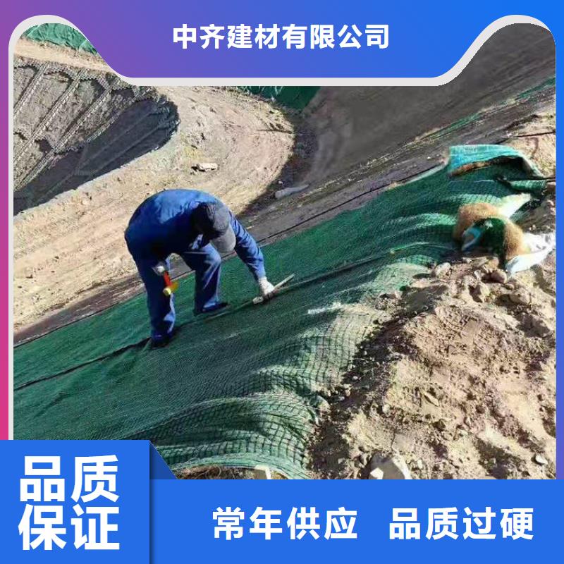 椰丝植生毯厂家价格行情