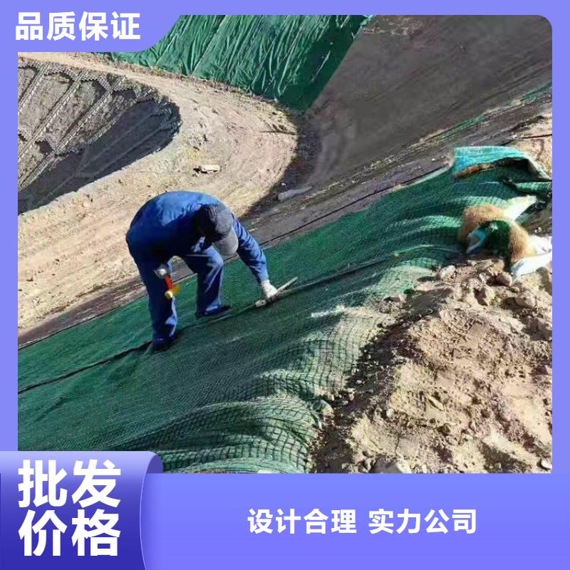 植生椰垫