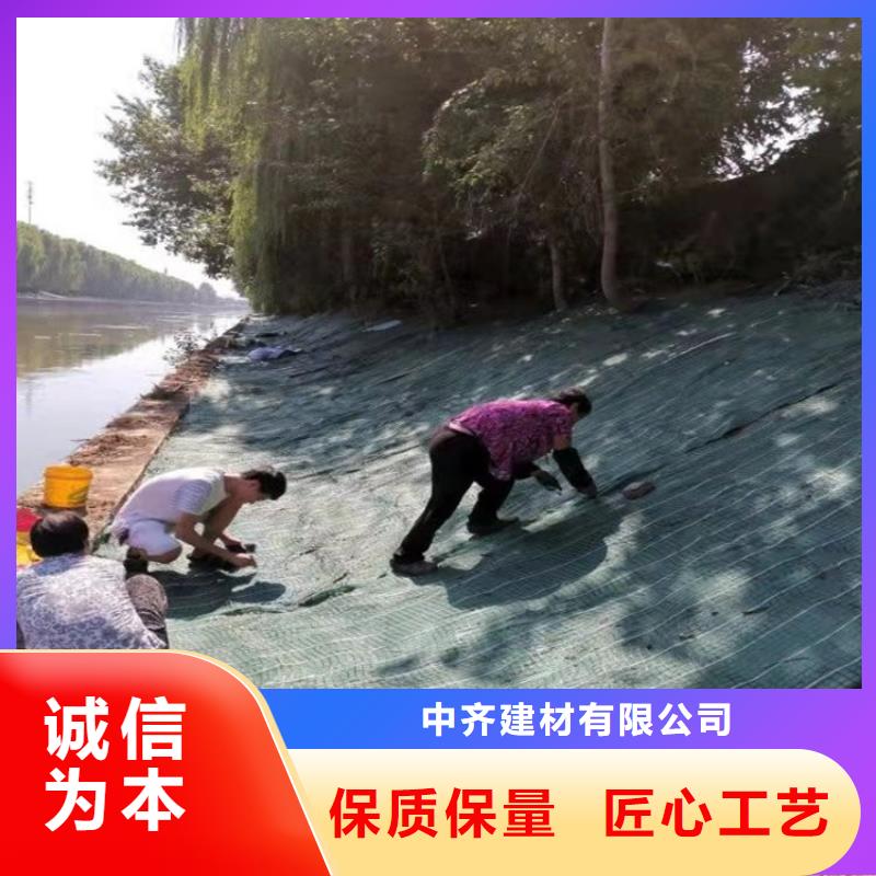 生态植物防护毯加筋抗冲生态毯