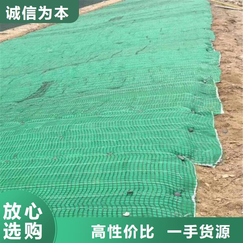 生态植物防护毯水保抗冲生物毯