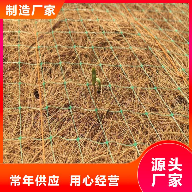 环保草毯环保植草毯