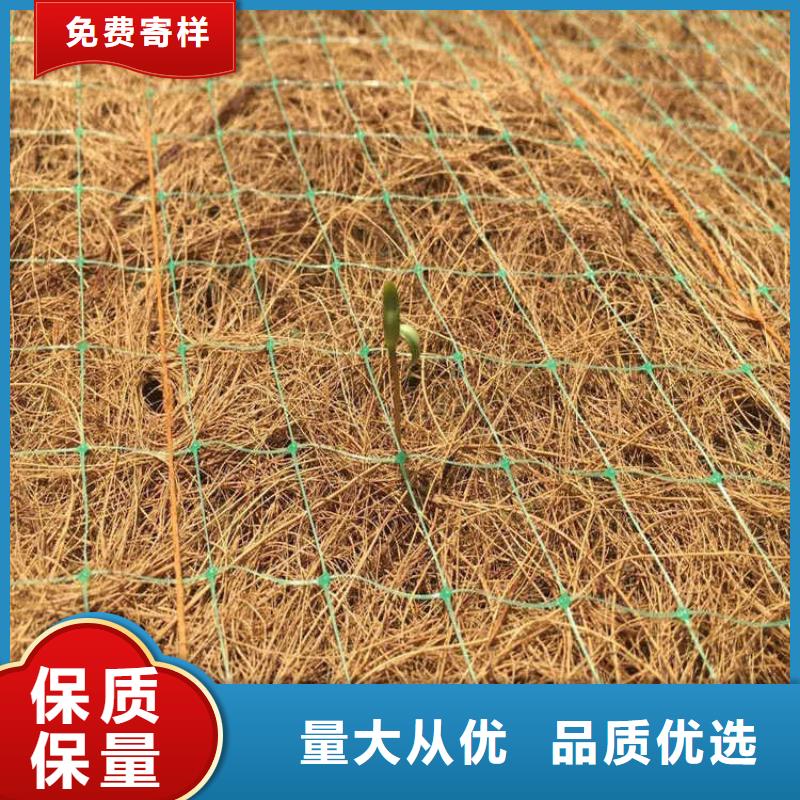 白沙县加筋复合生态草毯