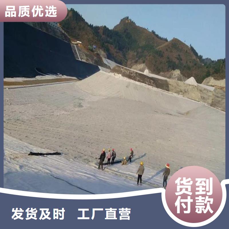 钠基膨润土防水毯代理厂家