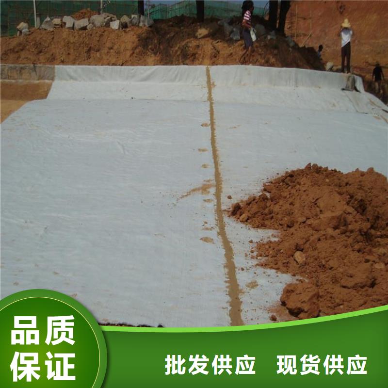 钠基膨润土防水毯4.8kgPE覆膜型防水垫