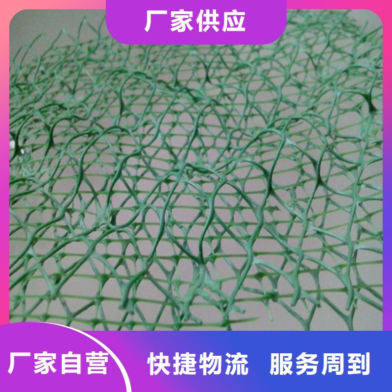 三维植被网排水管专业设计