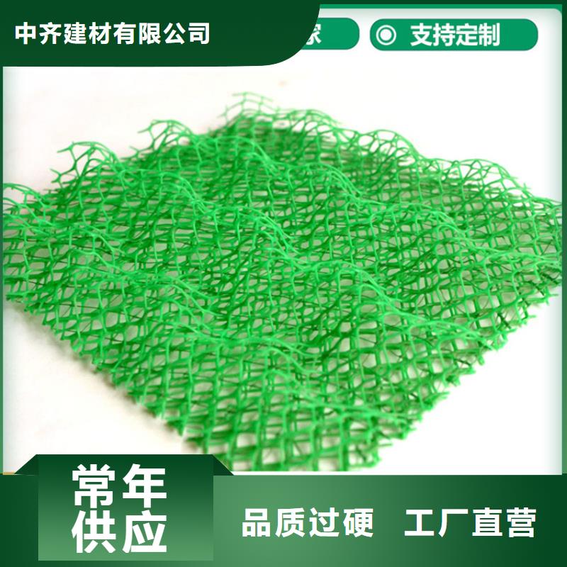 塑料EM4三维护坡植草网