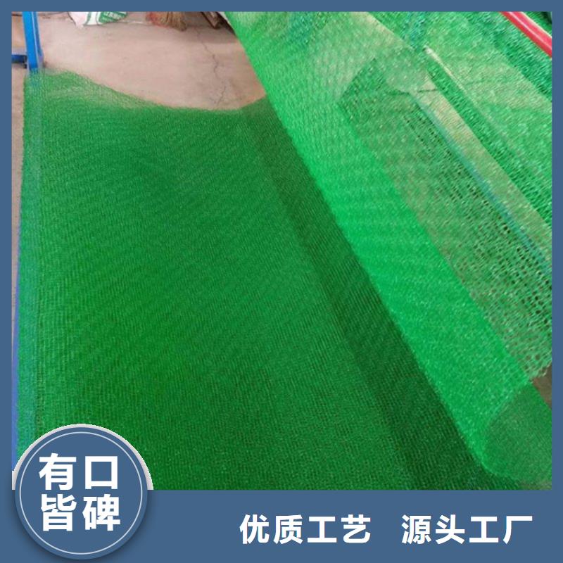 绿化EM4三维土工网垫