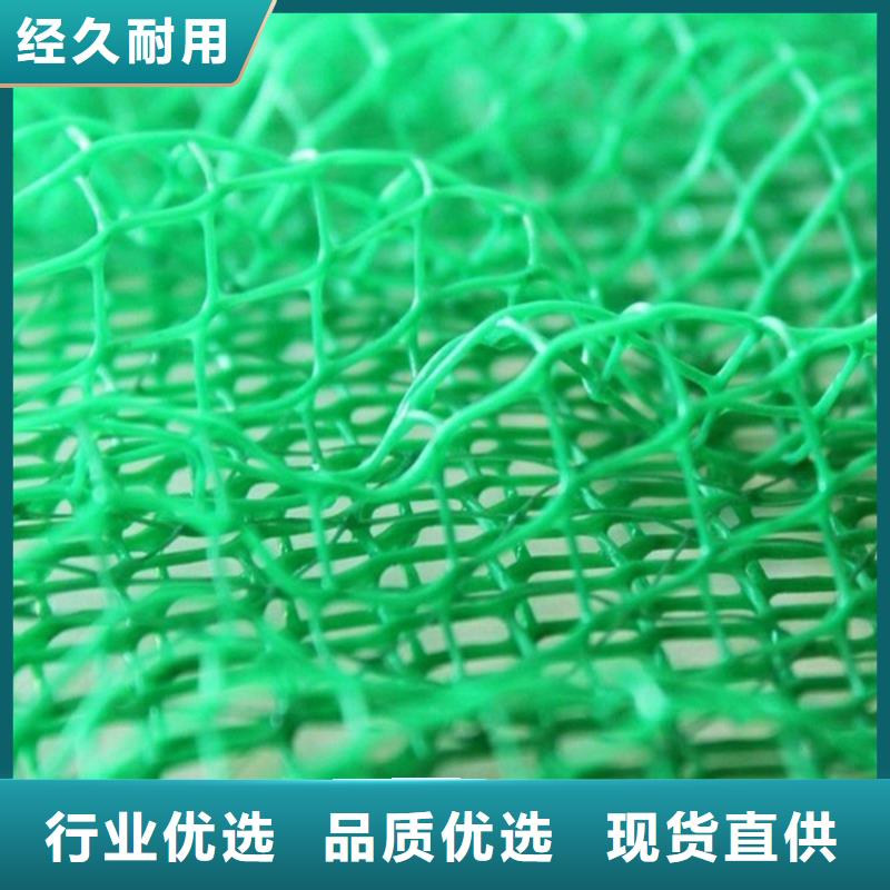 塑料边坡三维土工网垫