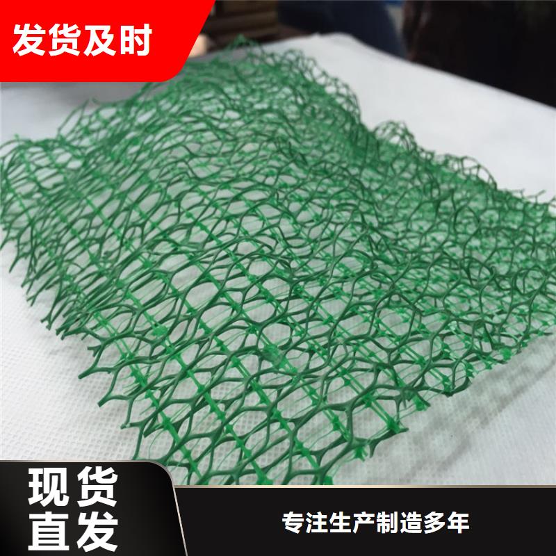 塑料草皮三维植被网