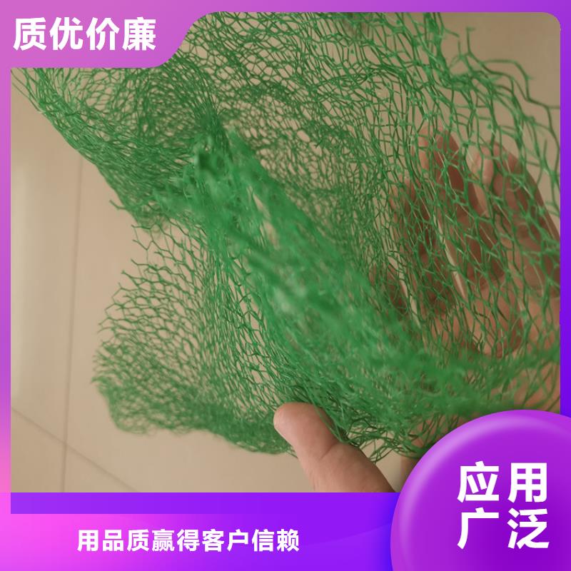 绿化EM4三维土工网垫