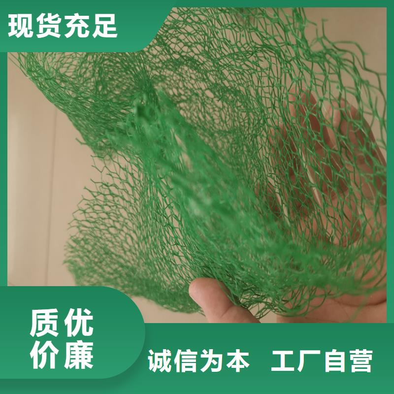 三维护坡植草网垫批发销售