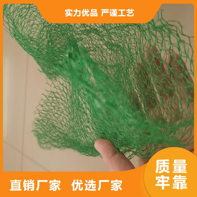 三维植被网市场批发