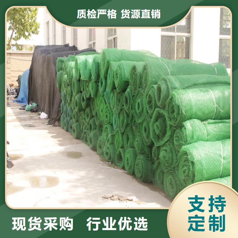 环保绿化三维土工网垫