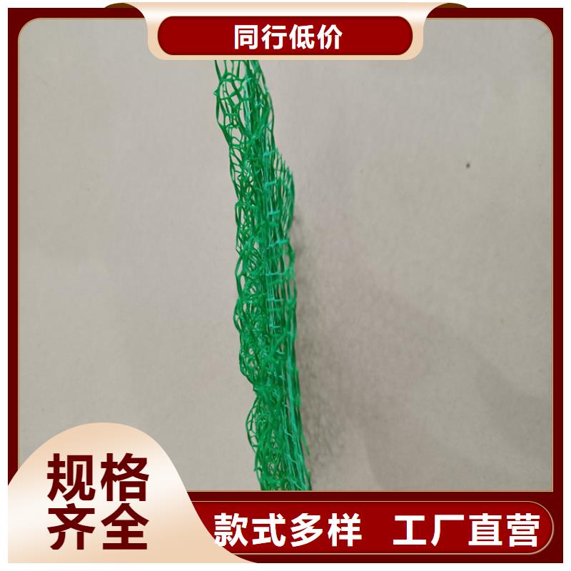 塑料EM2三维护坡植草网