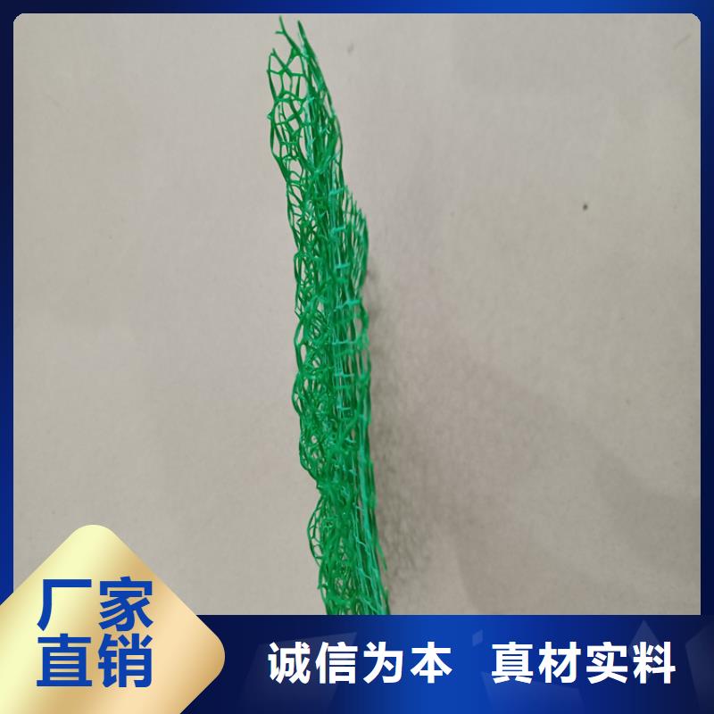 塑料草皮三维植被网