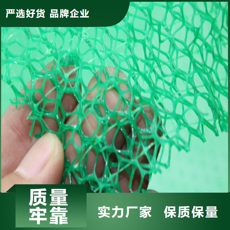 塑料环保三维固土网垫
