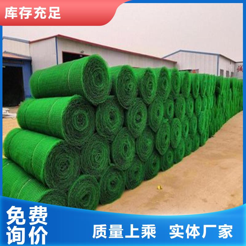 EM2绿化三维土工网垫