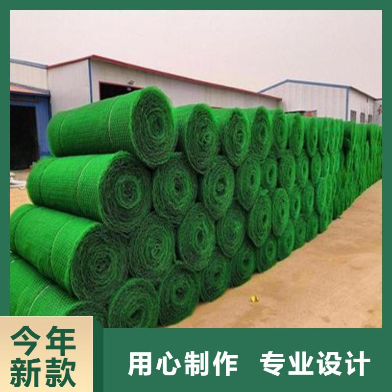 EM2绿化三维固土网垫