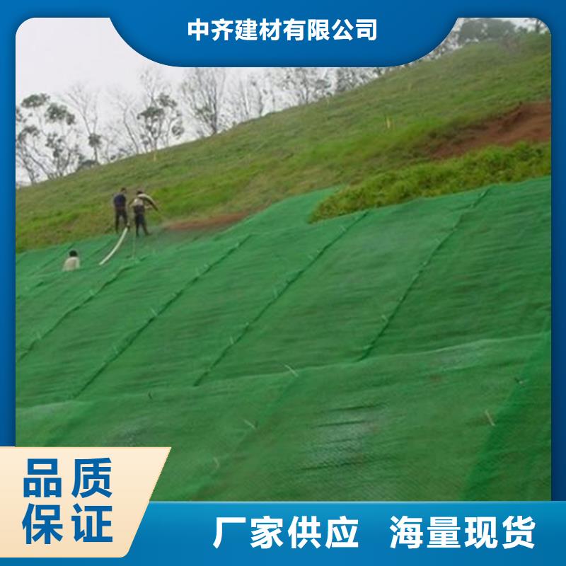 绿化加筋三维固土网垫