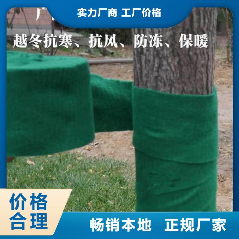 白沙县保温保湿棉绿色防寒布