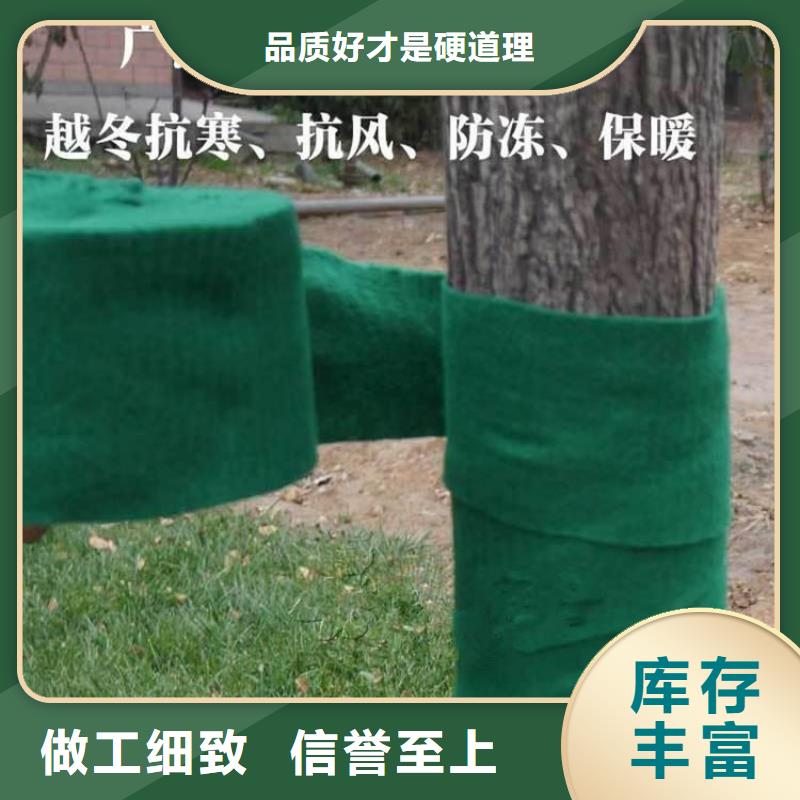 包树布缠树带