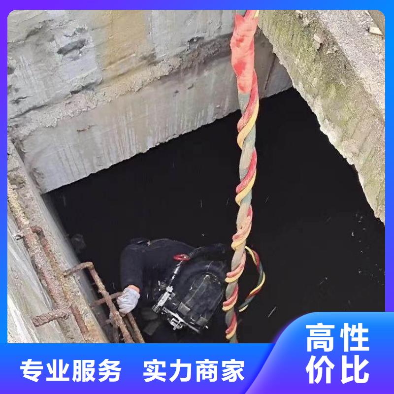 秀洲2024蛙人打捞服务承接工程浪淘沙水工