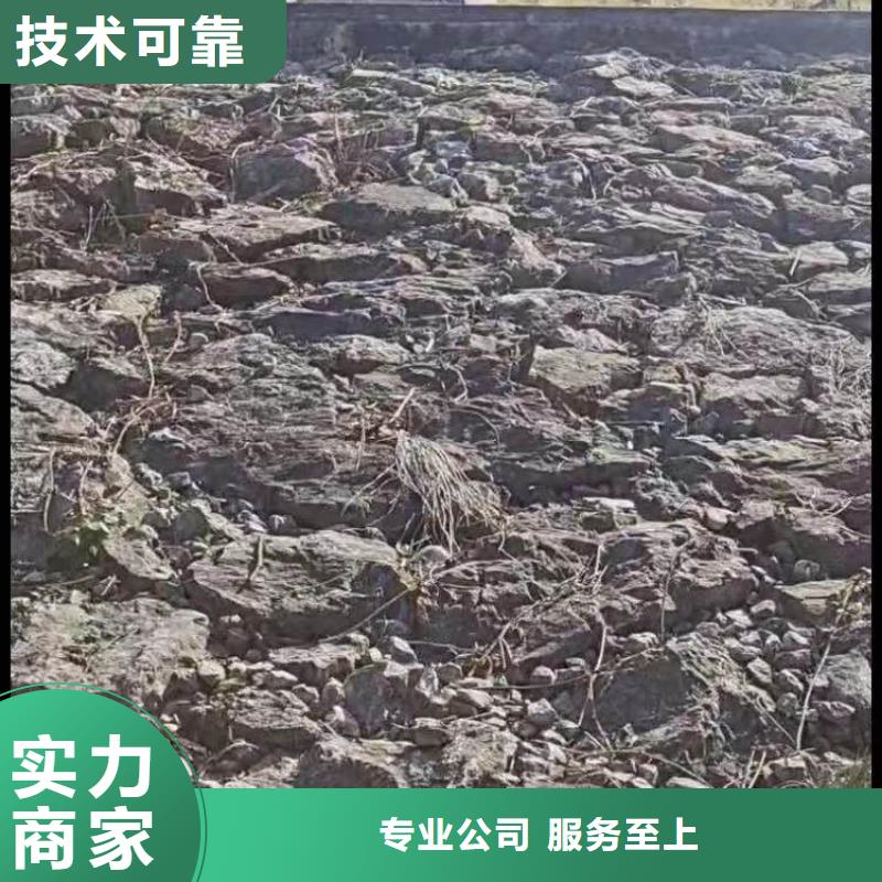 乐东县污水潜水员公司水下切割各种桩体施工队-潜水选择浪淘沙