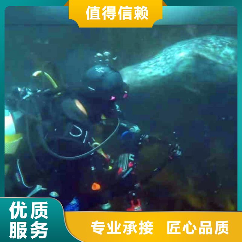 本地桥桩码头水下检测拍照精湛-为水务集团服务