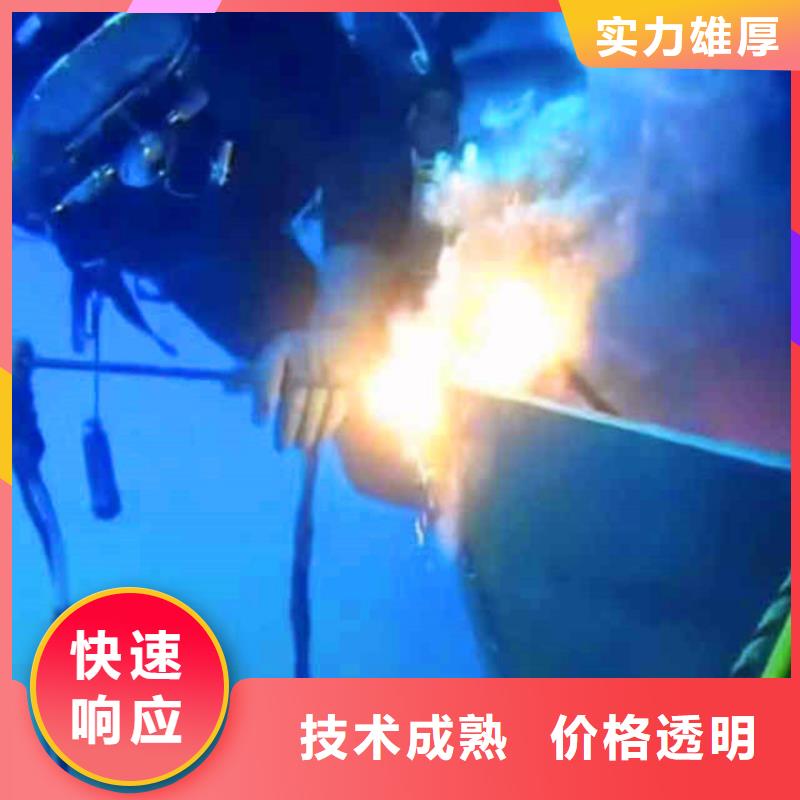 本地桥桩码头水下检测拍照精湛-为水务集团服务