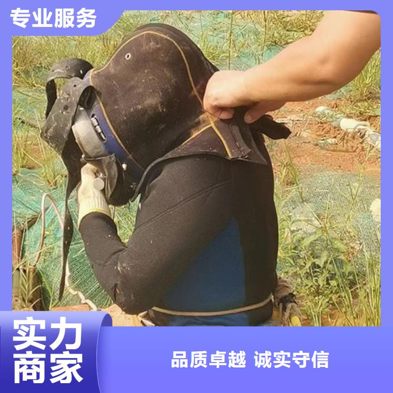 水底作业施工单位价格行情蛟龙公司